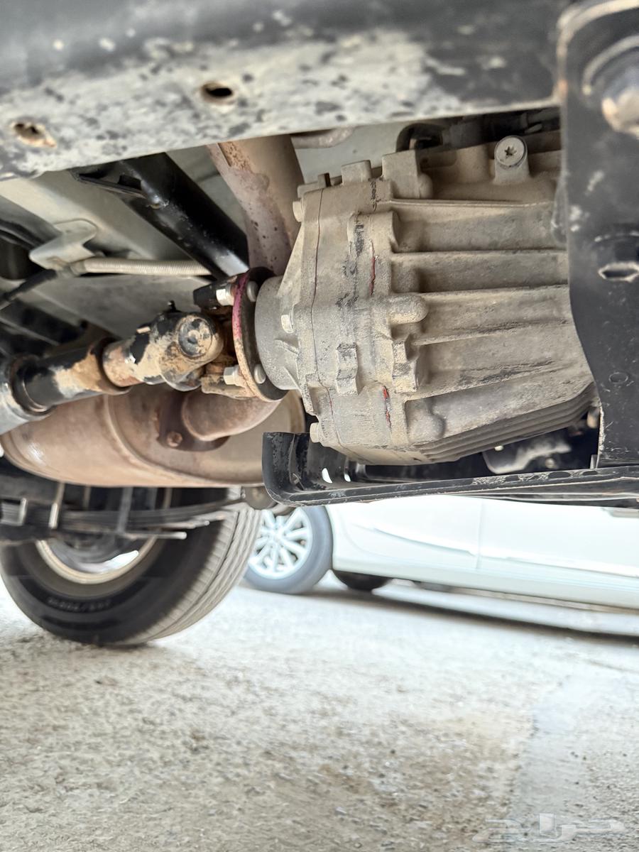 ربع 2009 ممشى 55 الف بلد مشاء الله64371306950273114