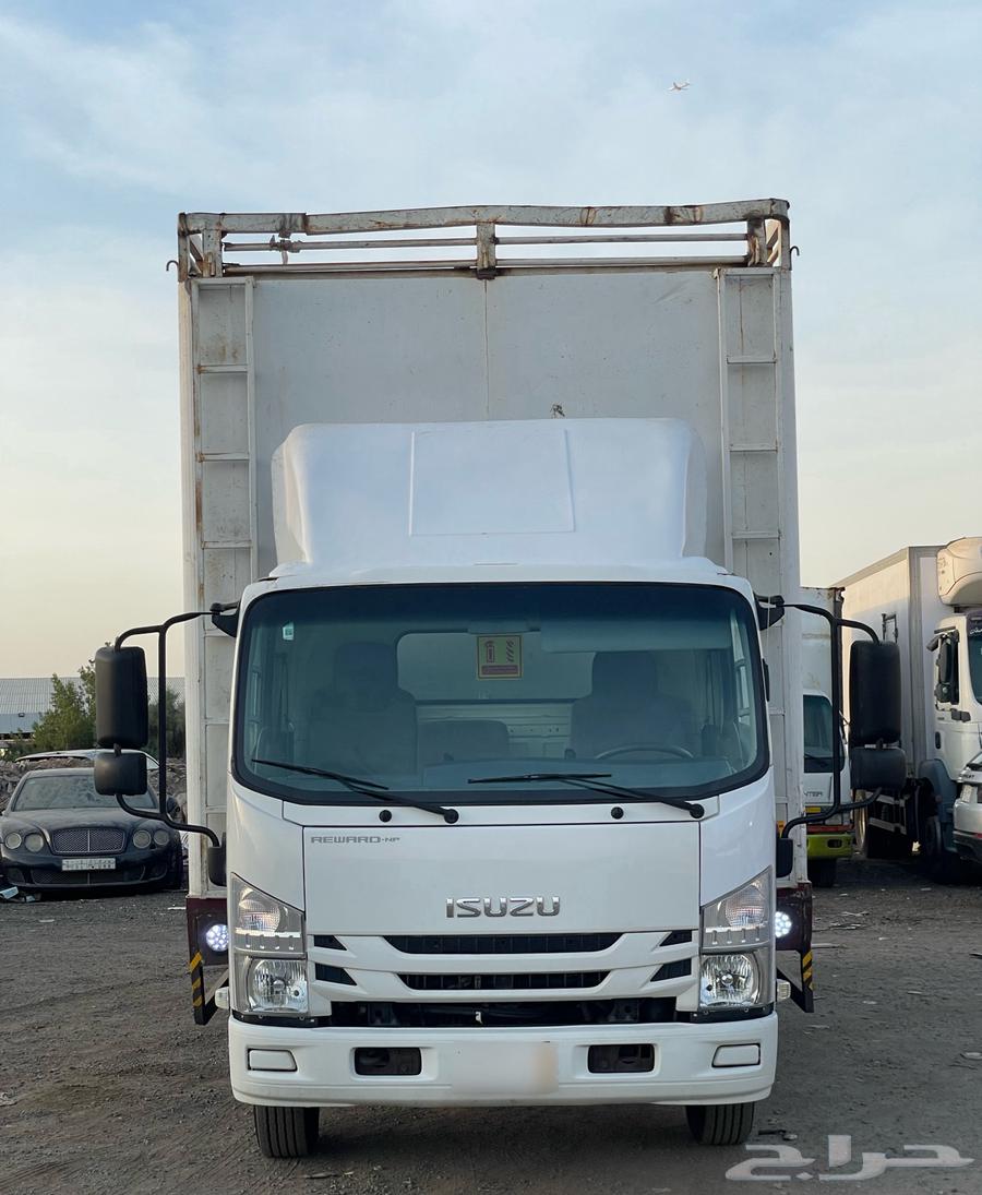 دينا - صندوق - ايسوزو - سعودي - 202364367084849793112