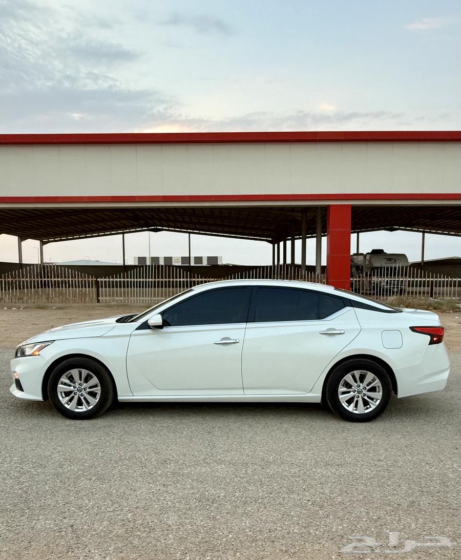 Tayma 2021 Standard64362574718851110