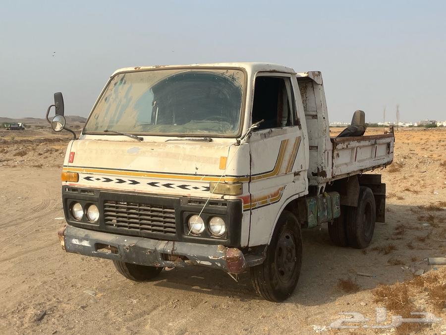 Dina Model (83) H64370885312642110