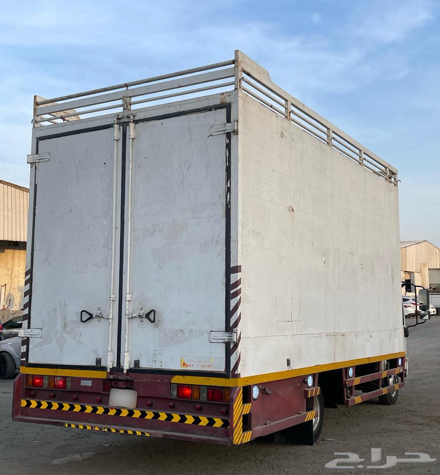 دينا - صندوق - ايسوزو - سعودي - 202364367084849793114