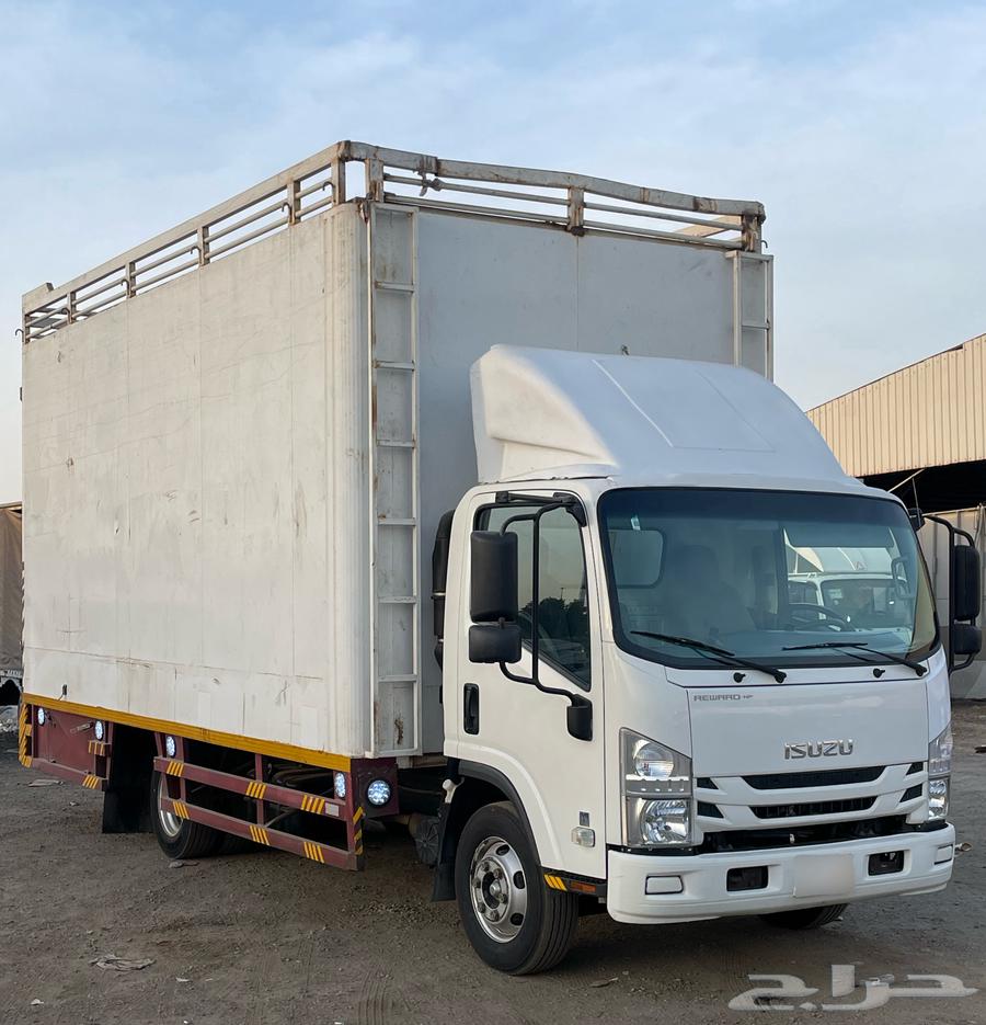 دينا - صندوق - ايسوزو - سعودي - 202364367084849793110