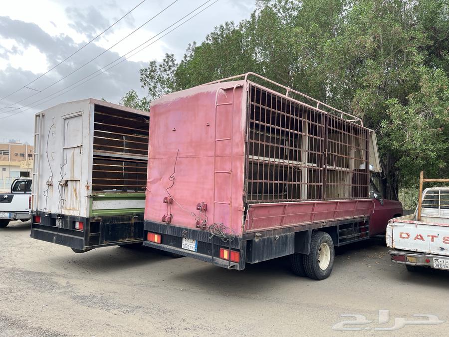 جمس نحل للبيع64364277418625110