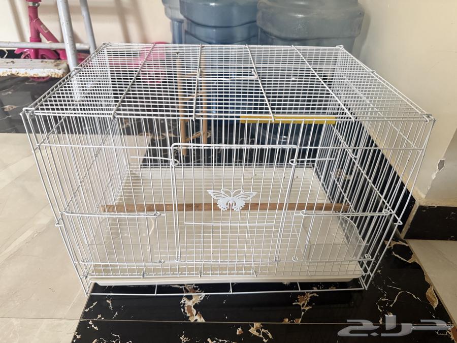 Bird cage with accessories64141531440769111