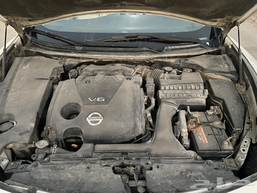 مكسيما للبيع 201064370583356545110