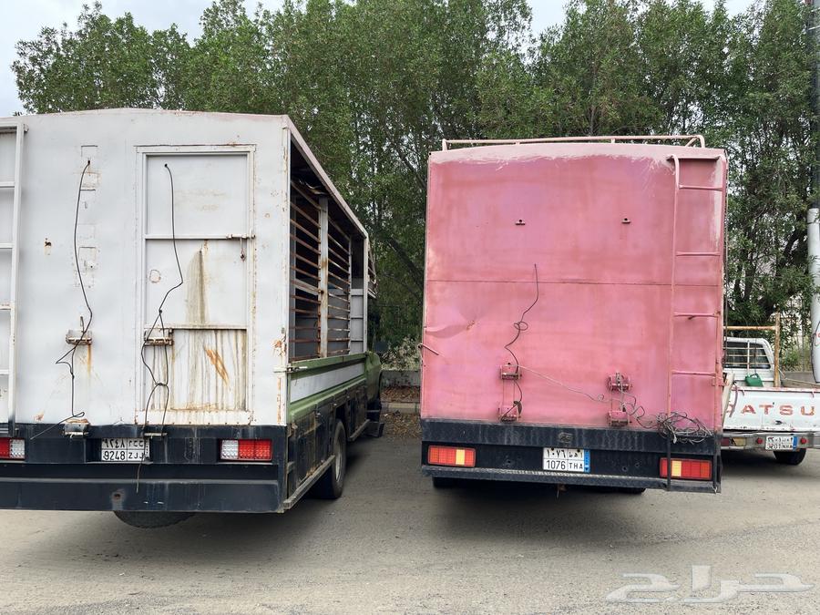 جمس نحل للبيع64364277418625111