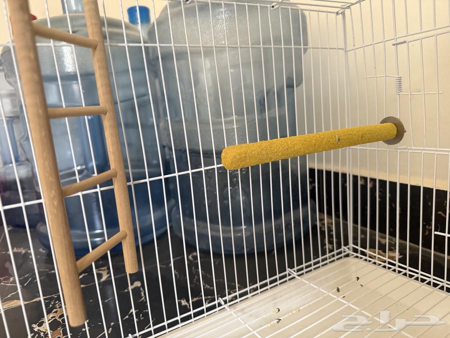 Bird cage with accessories64141531440769112