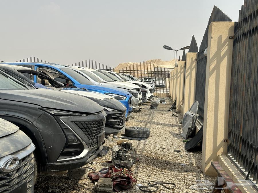 قطع صيني64366365995779111