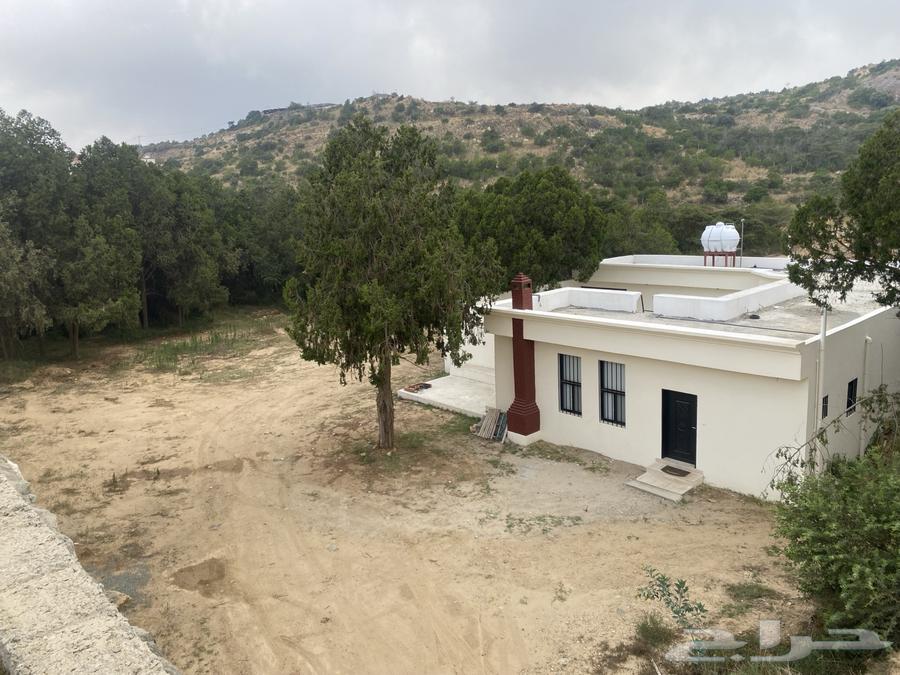 بيت في مزرعة للايجار محافظة بالقرن63613319570307110