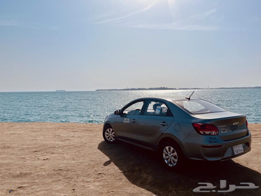 بيجلس 2024 للتنازل64371511507843110