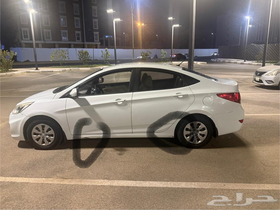 أكسنت للبيع64363472621314113