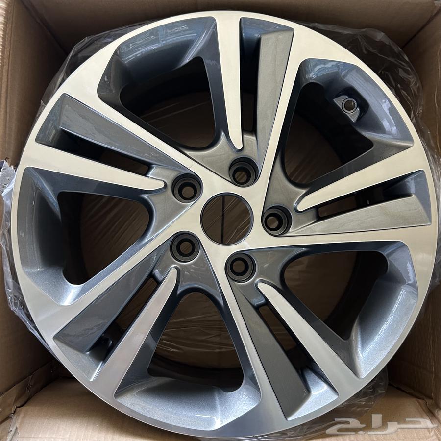 جنوط النترا 2017م - 2018م64365835964675113