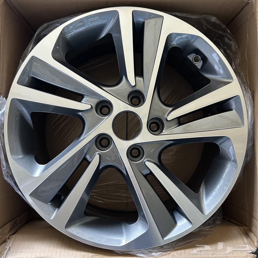 جنوط النترا 2017م - 2018م64365835964675110