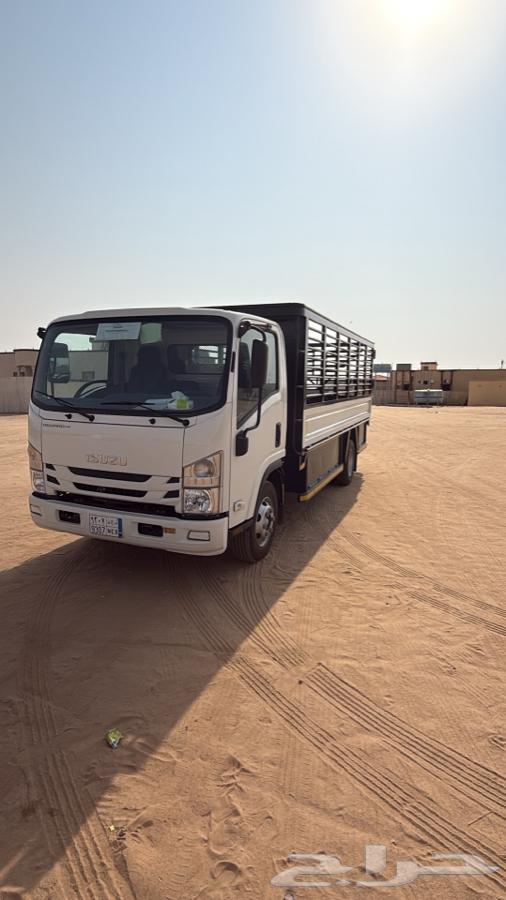 الايجار دينا ايسزو202464370013467907110