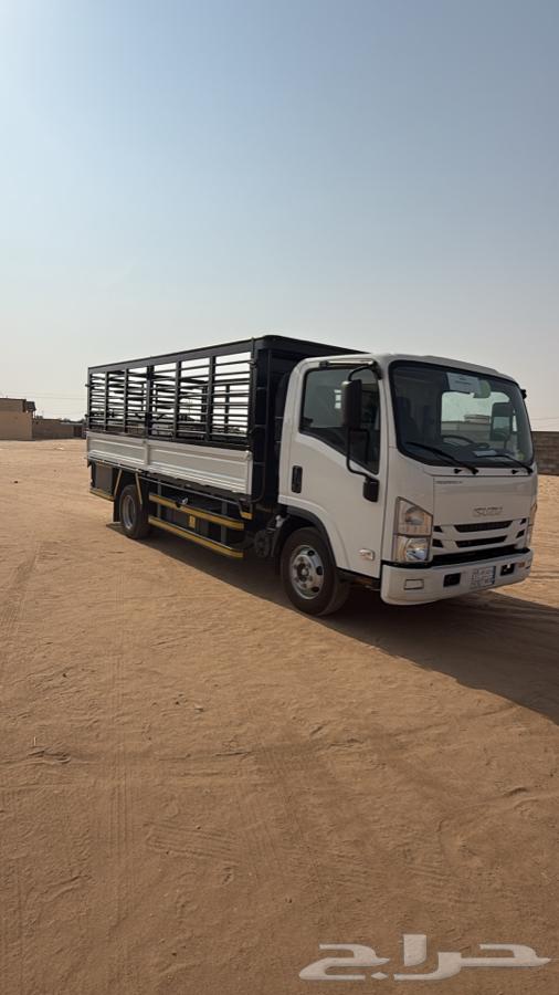 الايجار دينا ايسزو202464370013467907111