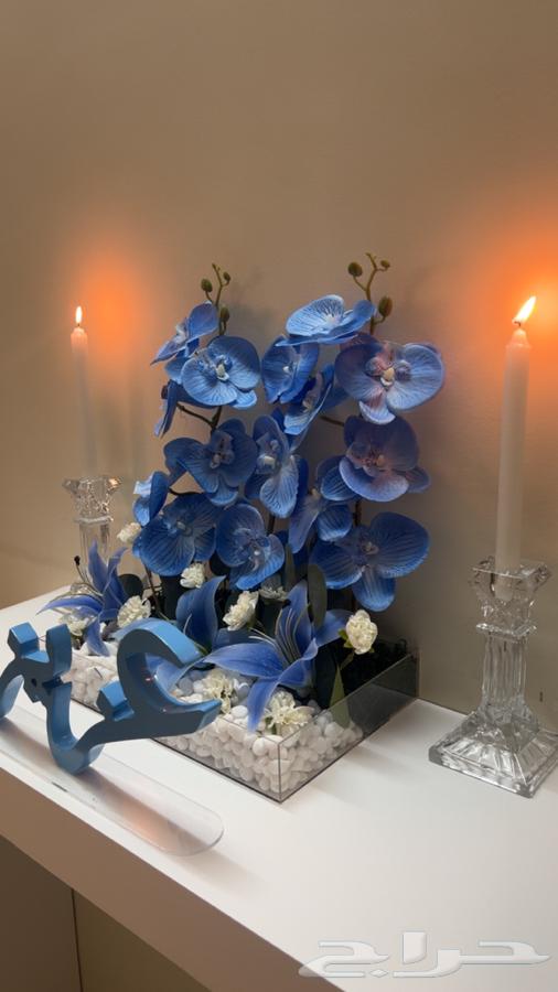 ضيافه بيبي باسم64370957915139110