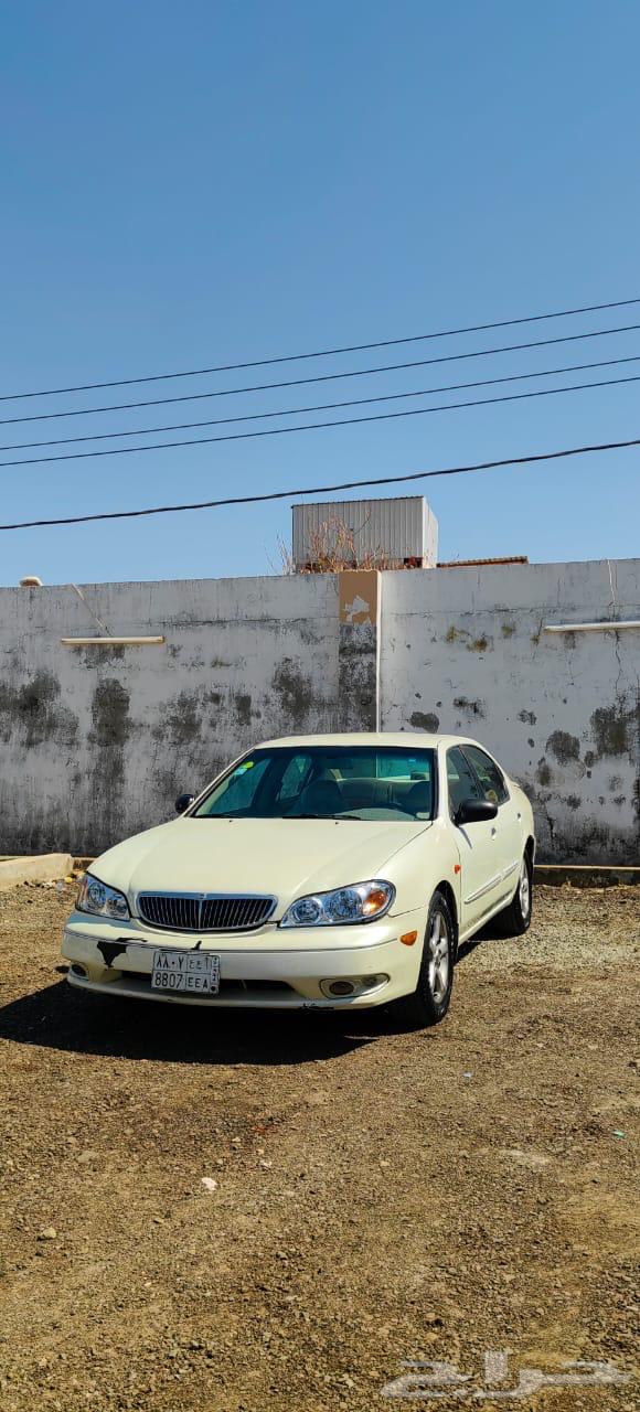 للبيع مكسيما 200464365630764163110