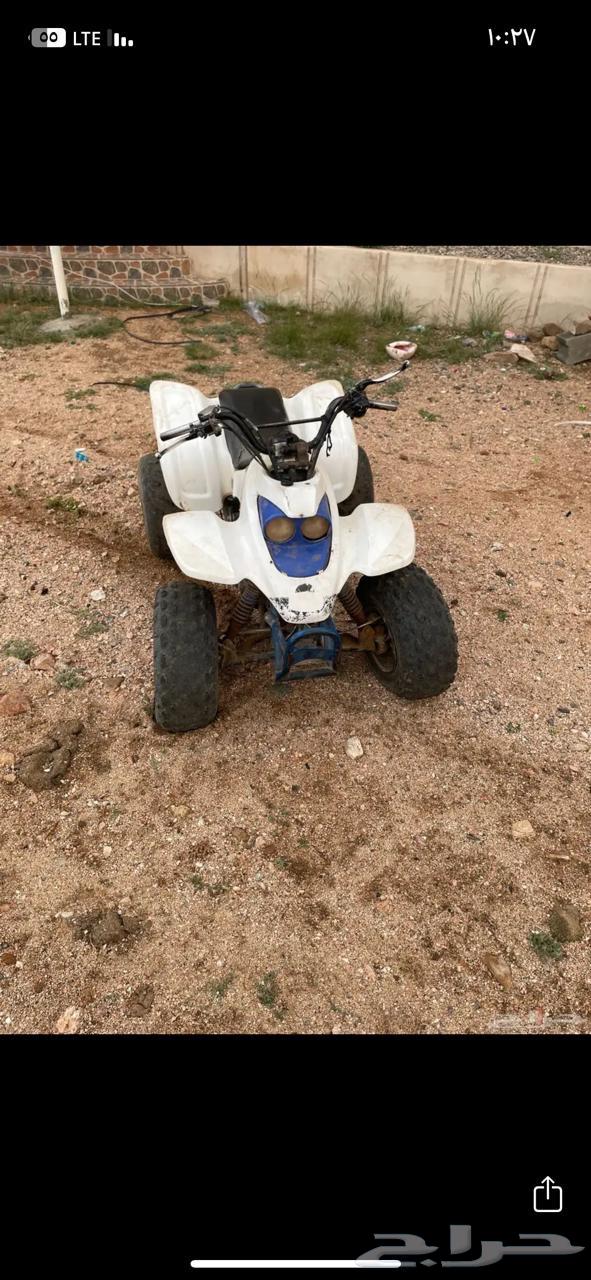 دباب للبيع64366278084483111