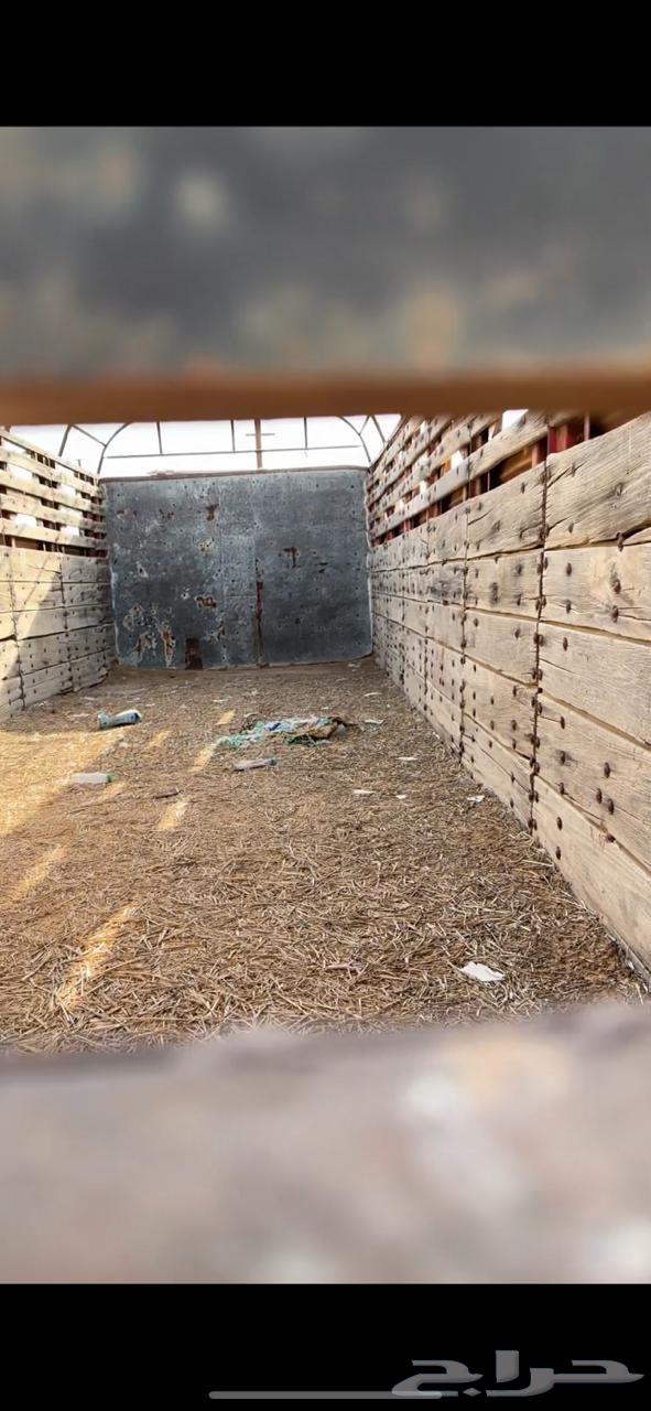 صندوق لوري سقس بوز64371118581379114