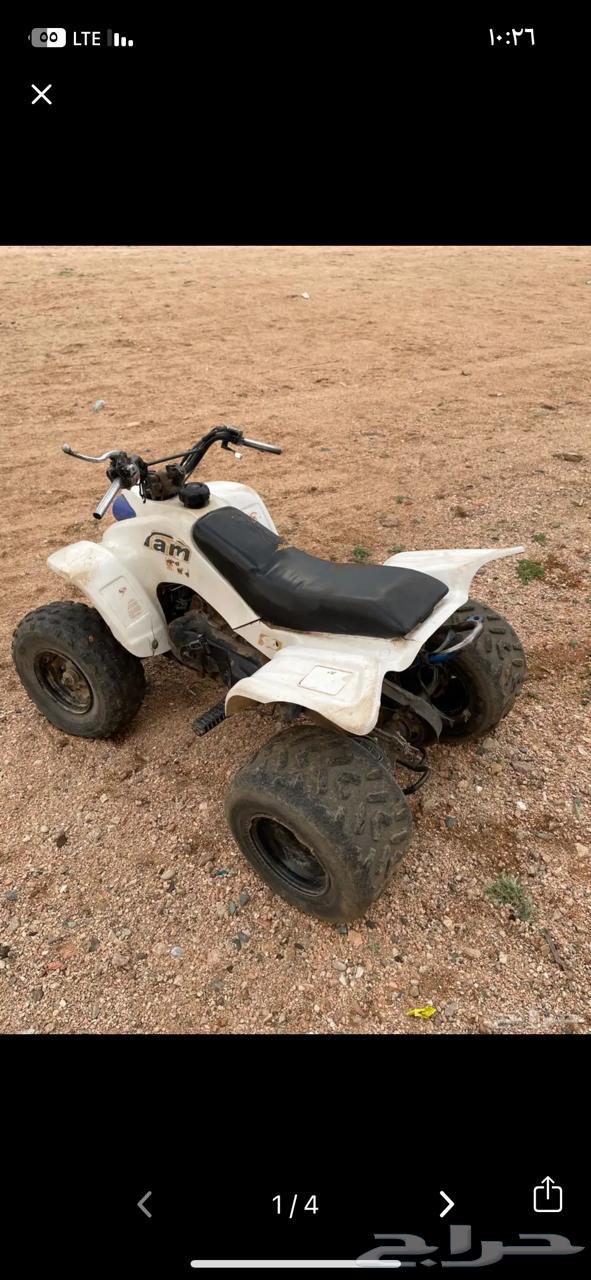 دباب للبيع64366278084483110