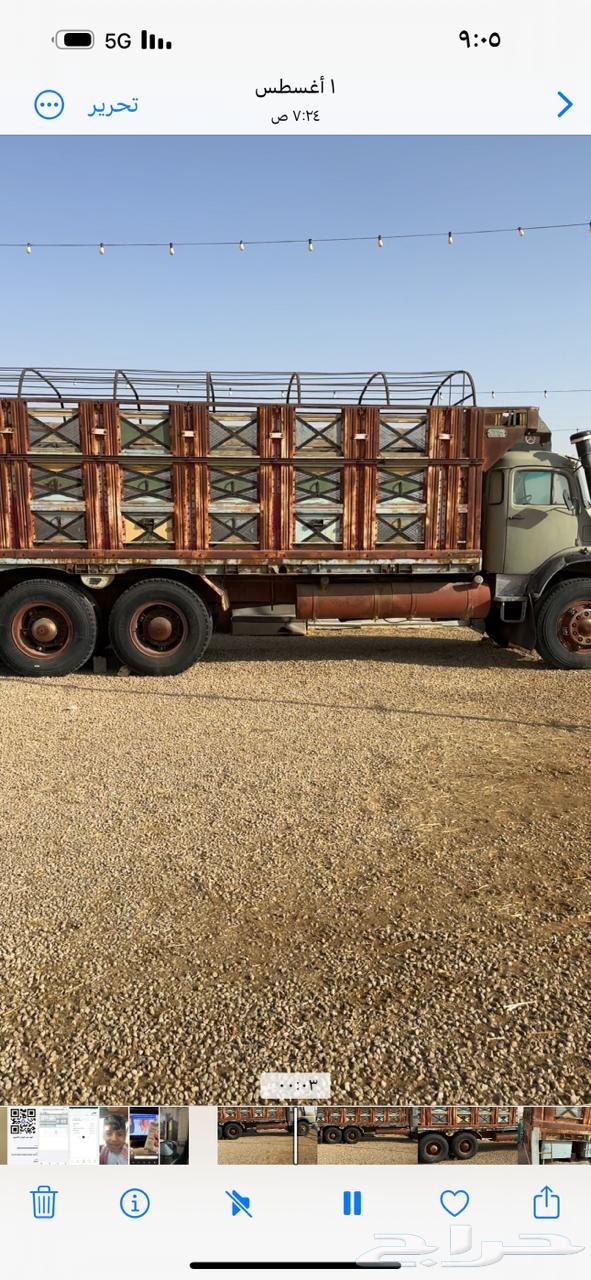 صندوق لوري سقس بوز64371118581379112