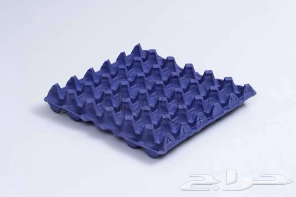 طبق بيض فارغ64368528366849110