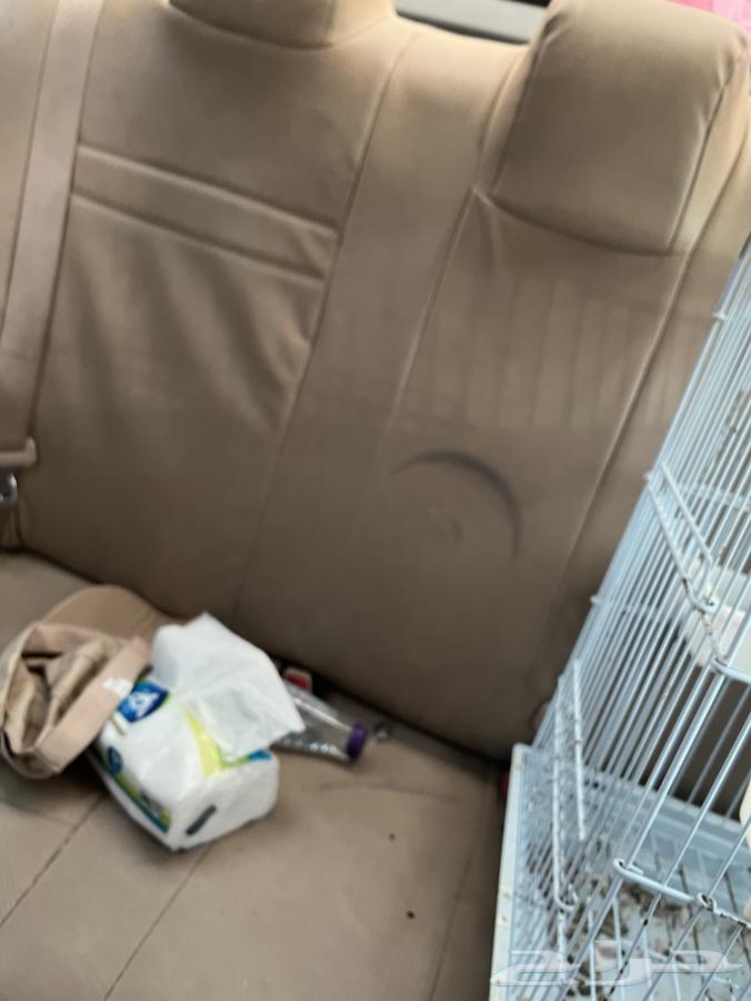 طير كاسكو اليف حبيب العمر قريب من سنتين البيع سمح ح64141549904641112