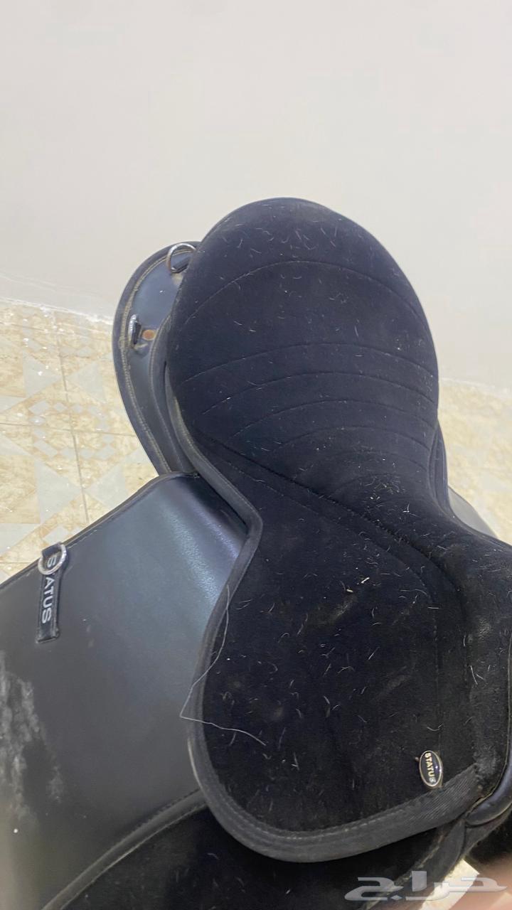 سرج ستيتوس و باندنج للبيع64145422279938110