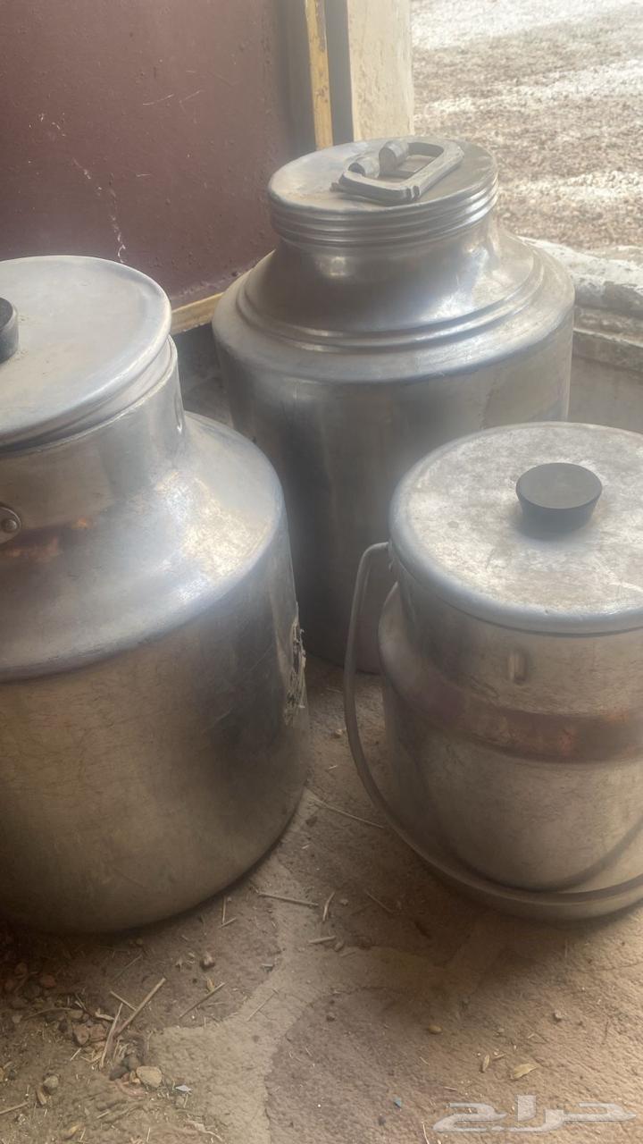 ابها64141931041921110