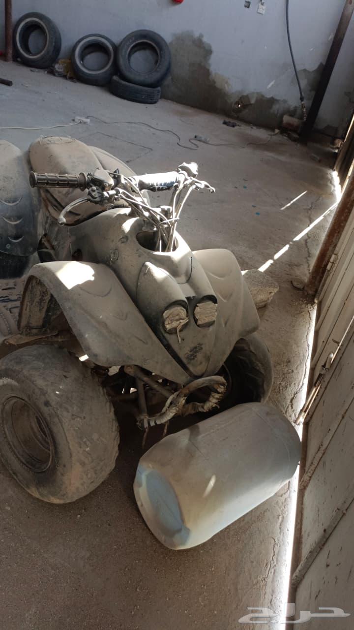 دباب للبيع64366805070209112