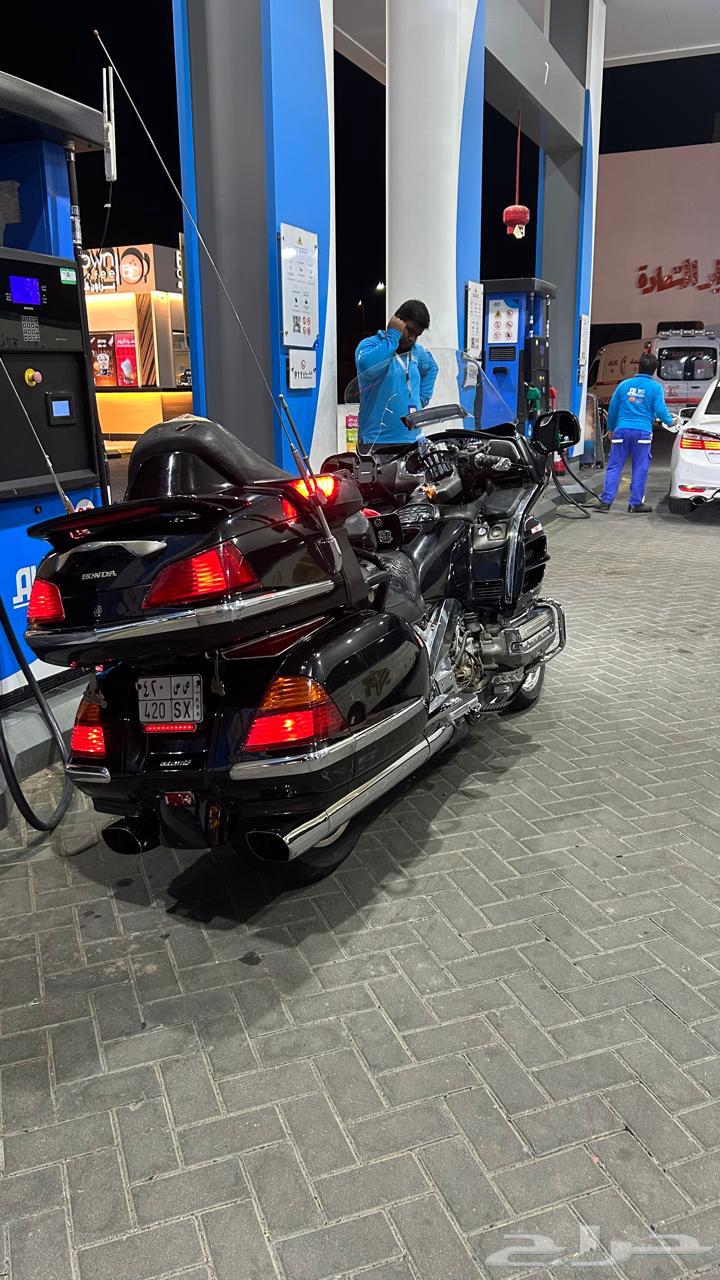 قولد وينق 200264371437900545112