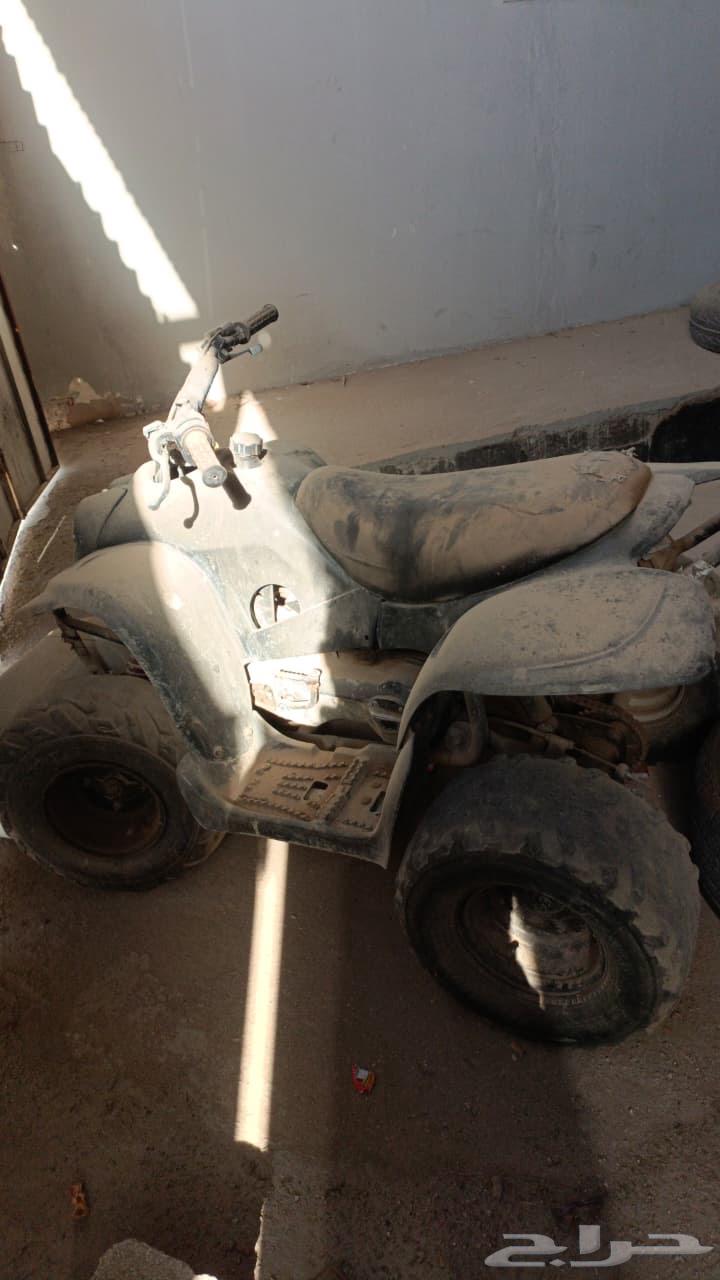 دباب للبيع64366805070209113