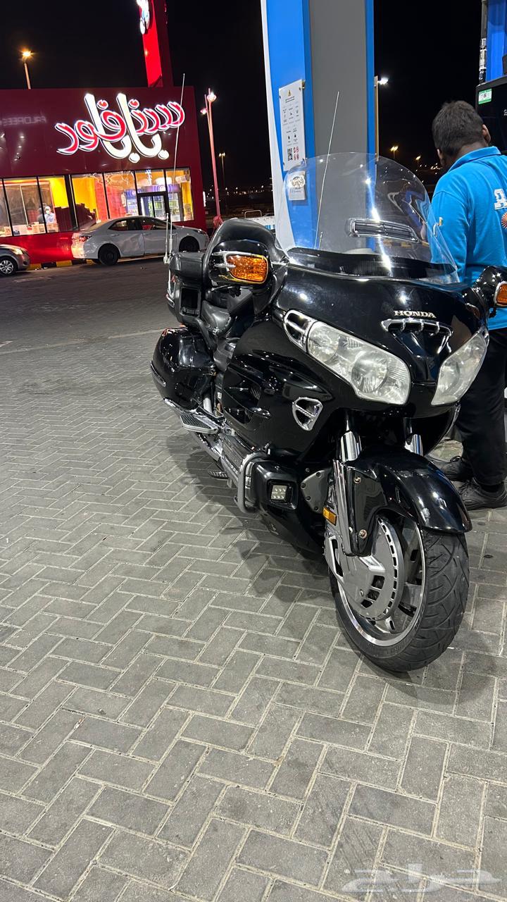 قولد وينق 200264371437900545113