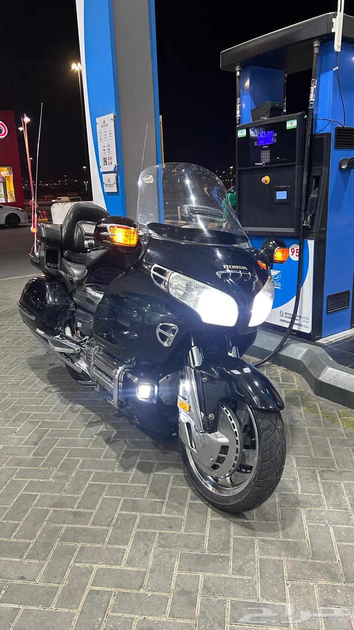 قولد وينق 200264371437900545114