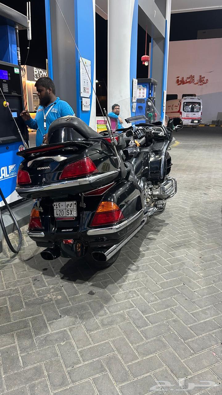 قولد وينق 200264371437900545110