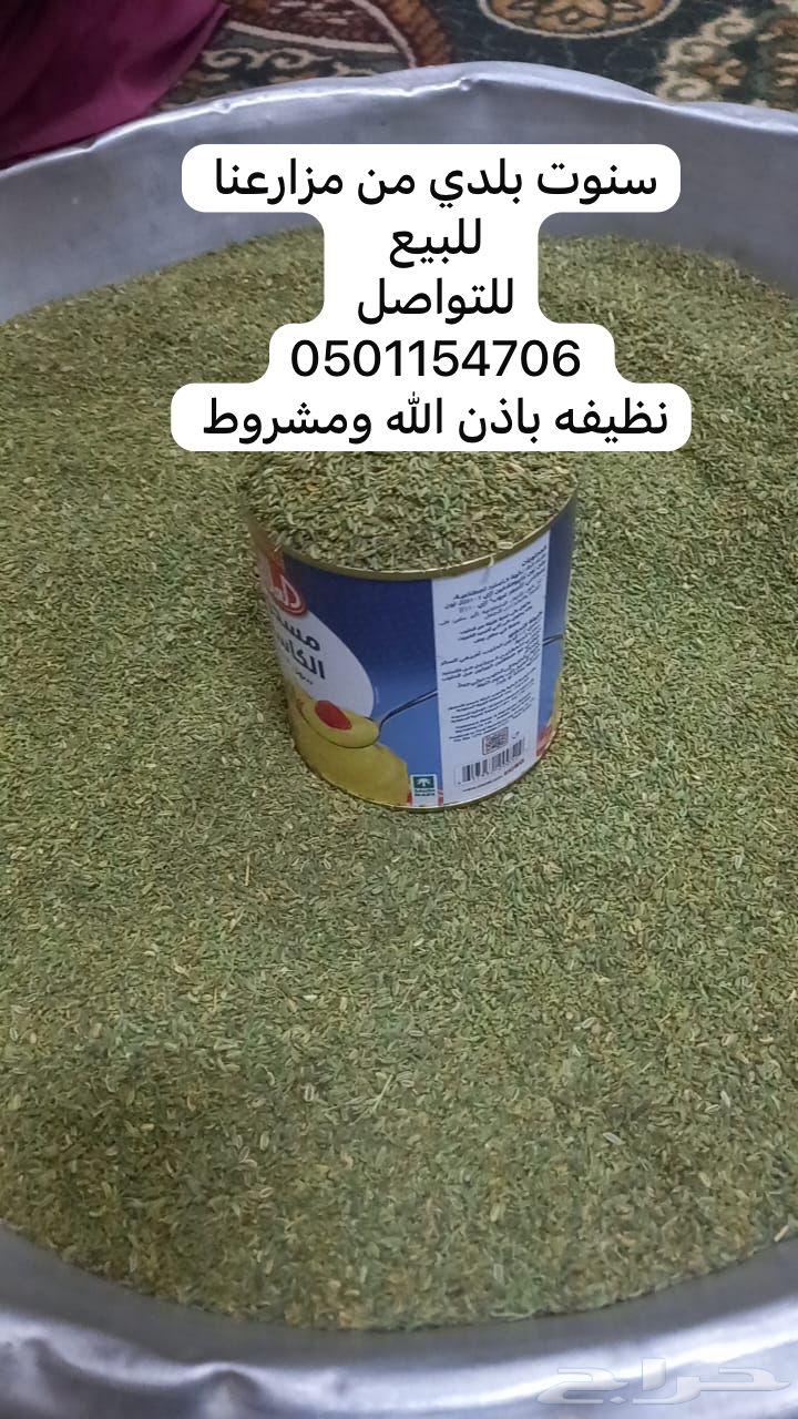 My local snoot from Baha, this year's share is a condition64141531619457111