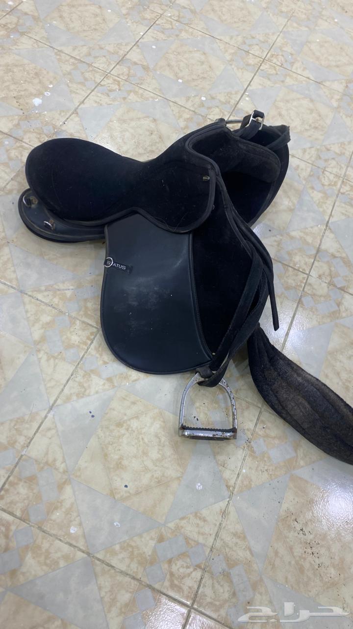 سرج ستيتوس و باندنج للبيع64145422279938113