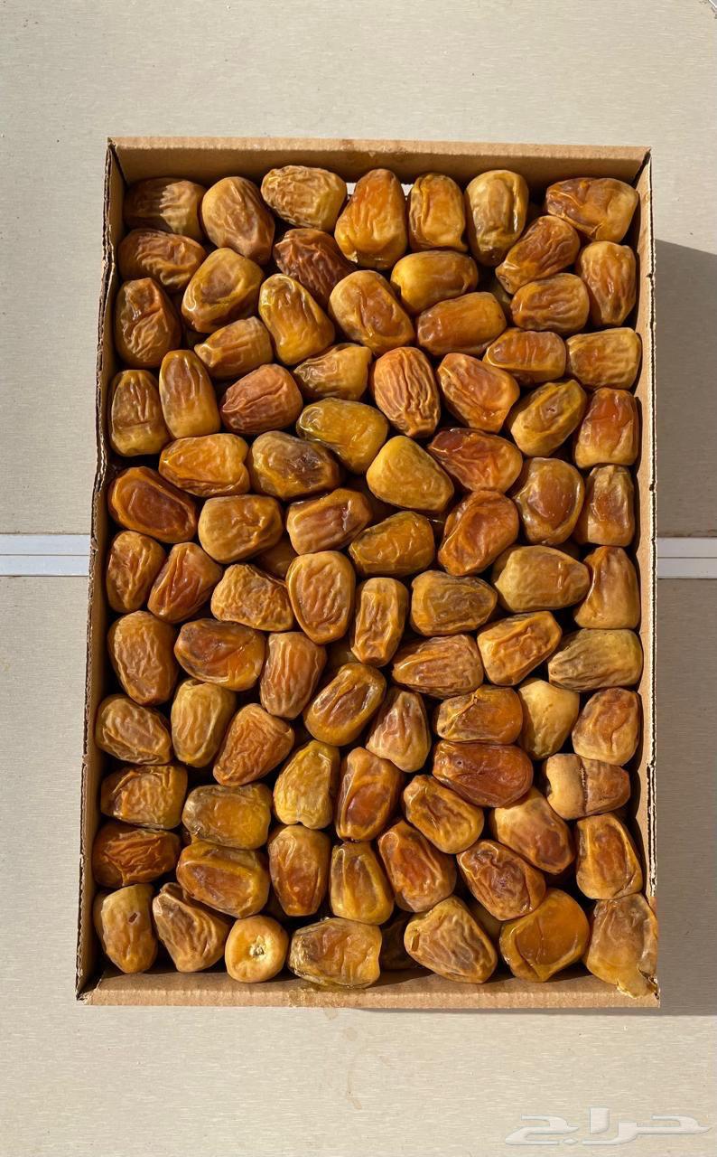 Soft Sukkari Dates with Free Delivery to Your Doorstep64130391815683110