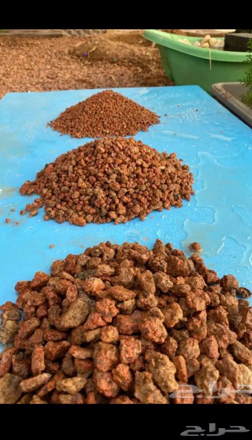 تريله قلاب توريد بطحاء حمراء بطحاء حائل الرياض القصيم بريده64371584653442110