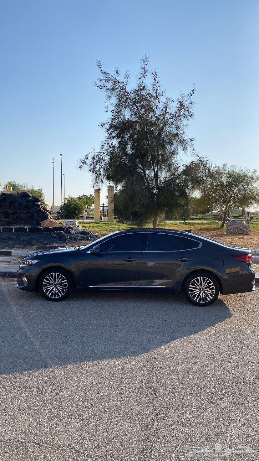 كادينزا بنزين 664359029921025113