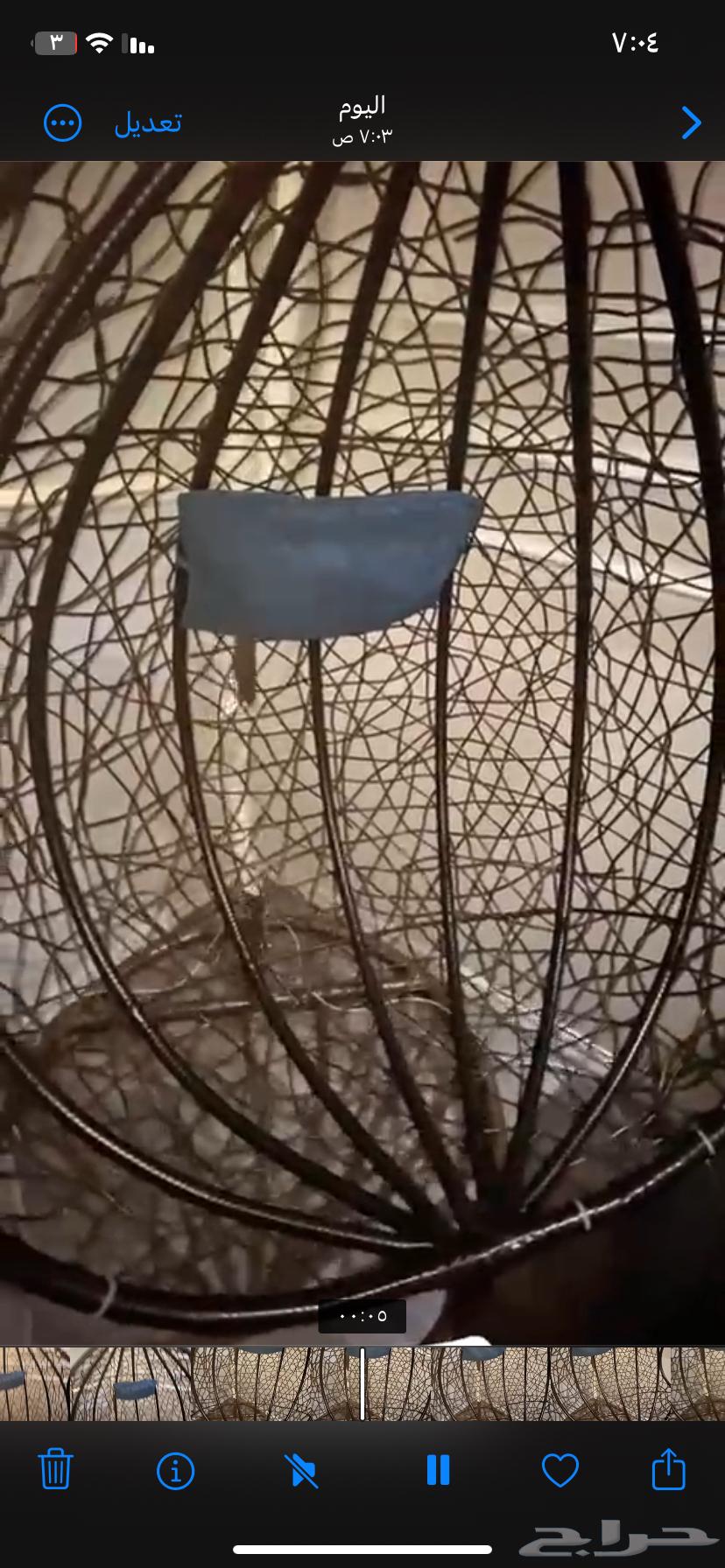 مرجيحه كرسي64125039315459110