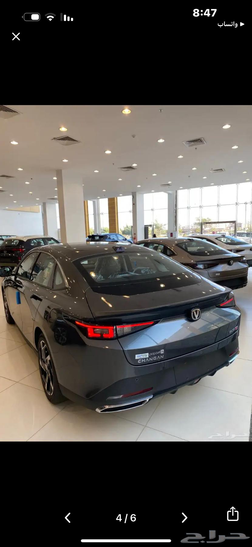 Changan Eado Plus 2025 and 2026 All Categories and Colors64367420386818112