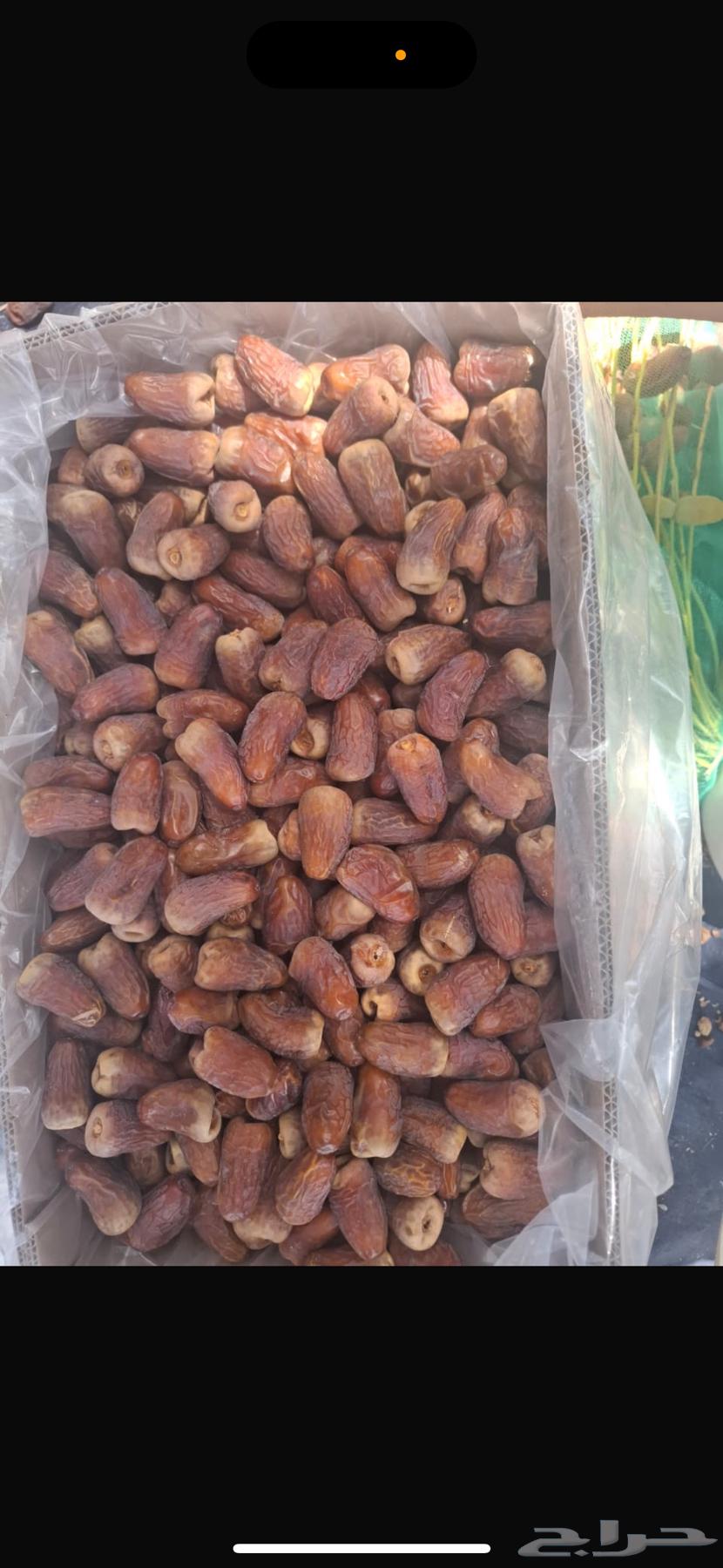 برني العيص درجه 164144162939138110