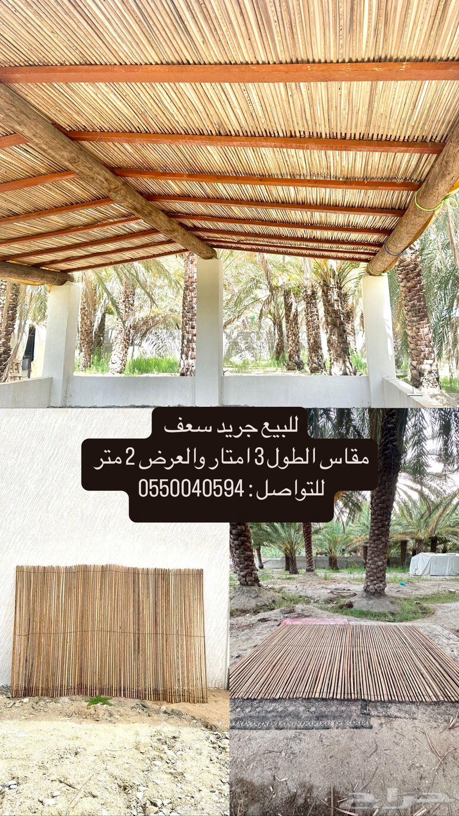 جرد سعف64121996771715112
