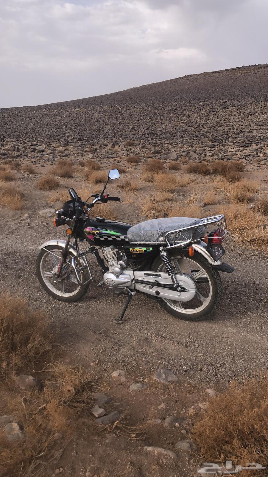 دباب. مديل. 2025.انسام. 2500.64379021644674113