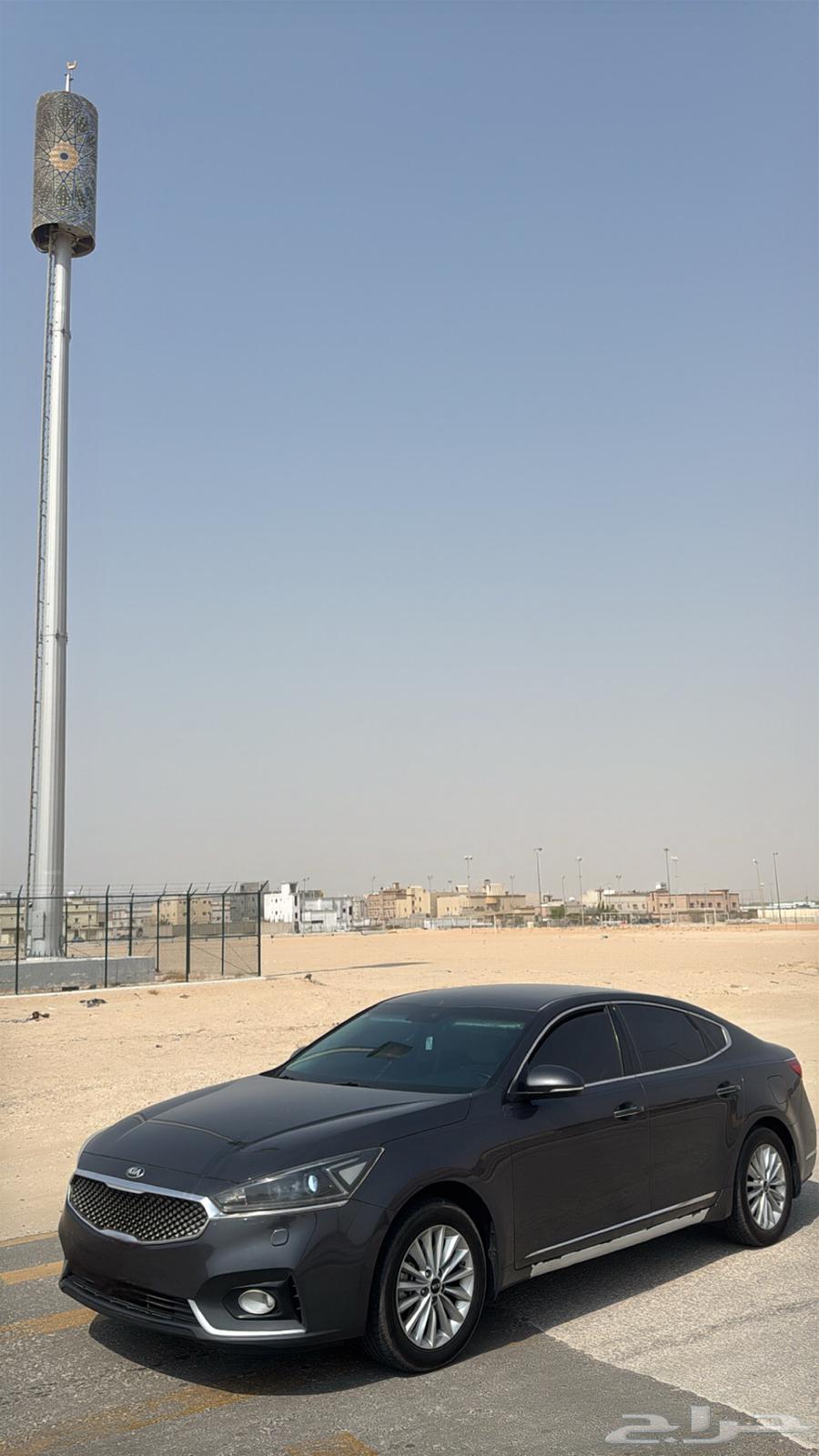 كادينزا للبيع64373668892289112