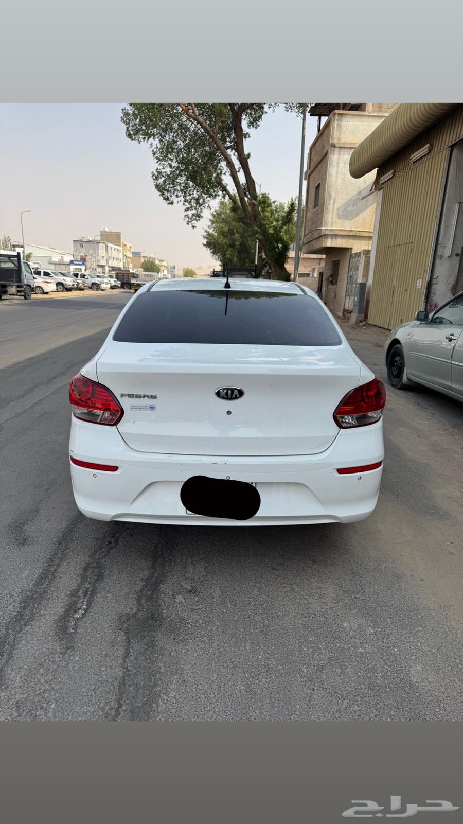 كيا بيجاس 202064378672954626110