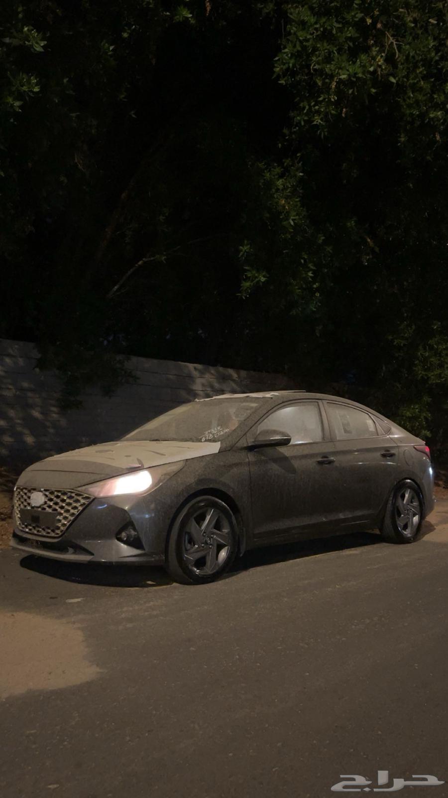 Tabriz border fringe accent64379021632513111