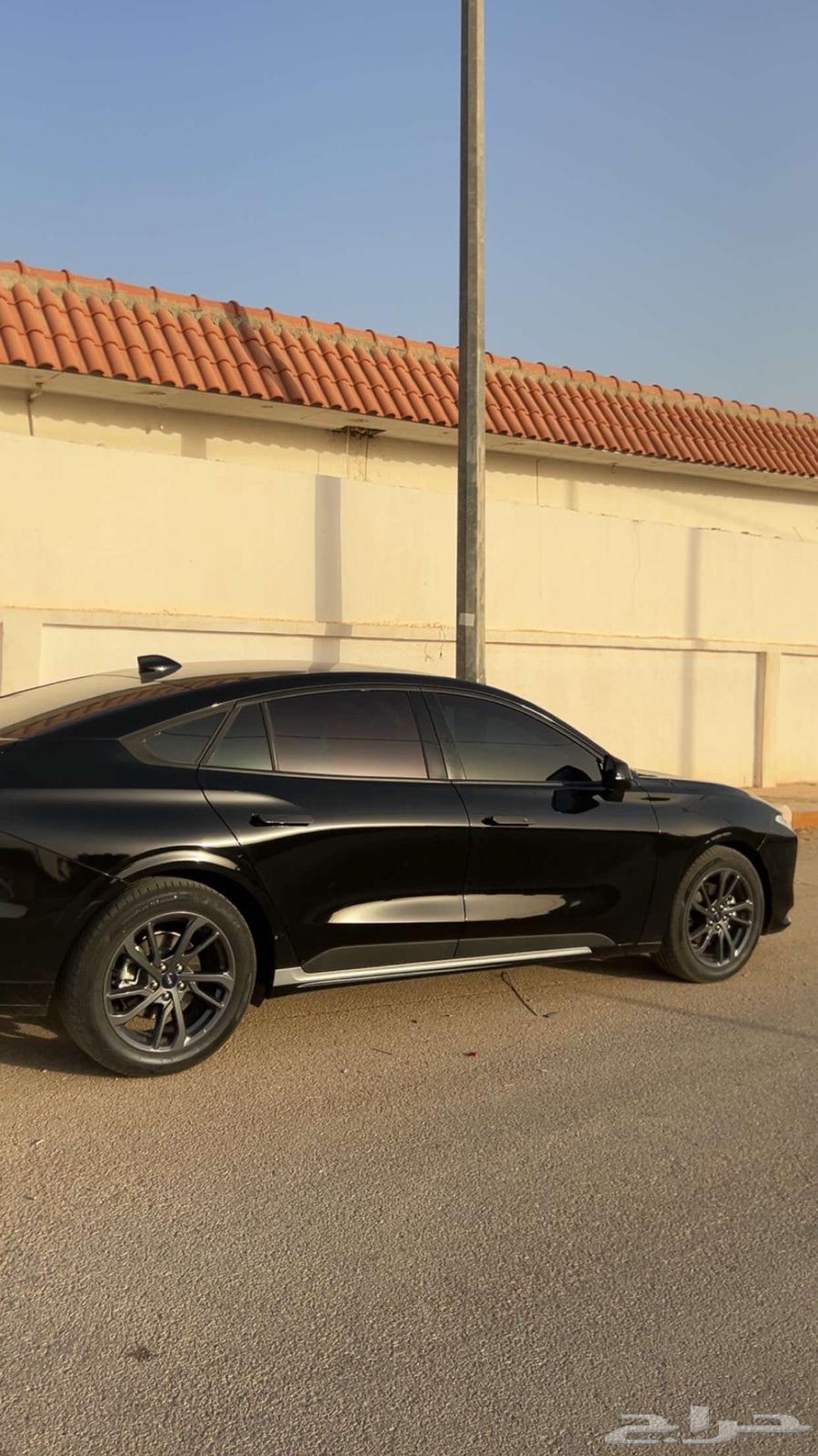 لتقبيل تورس202564372667867650111