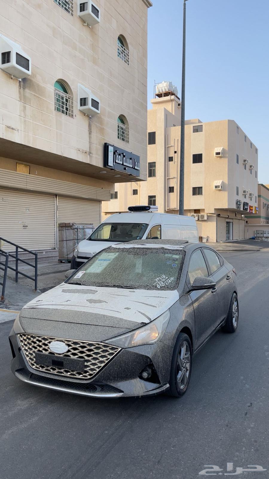 Tabriz border fringe accent64379021632513110